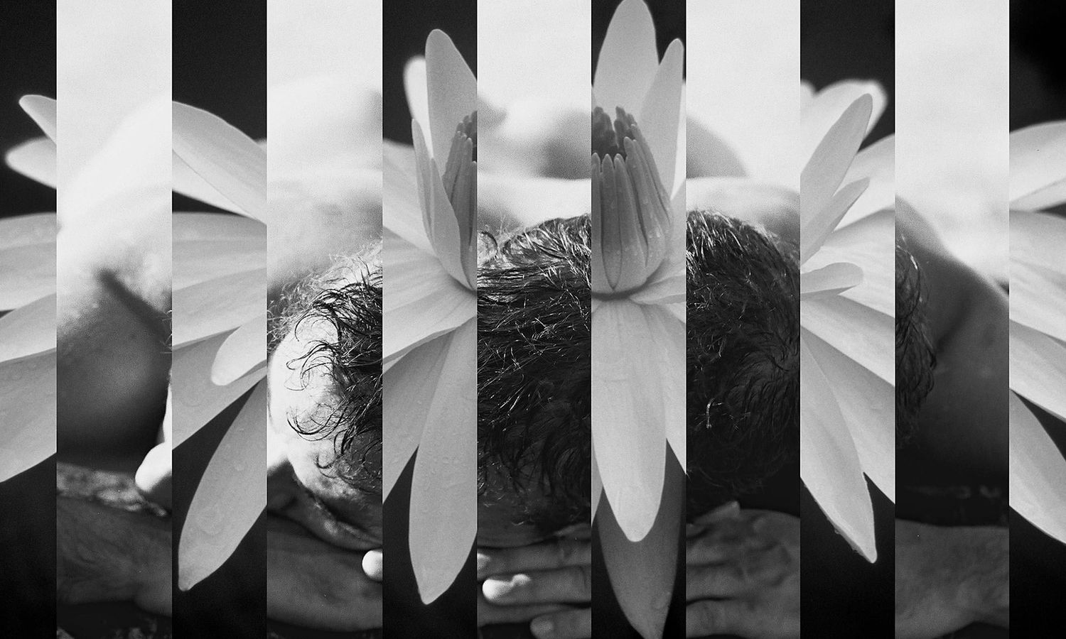 Abstract black and white pattern created with multiple overlapping flower petals. Photography by Raymond Mather.