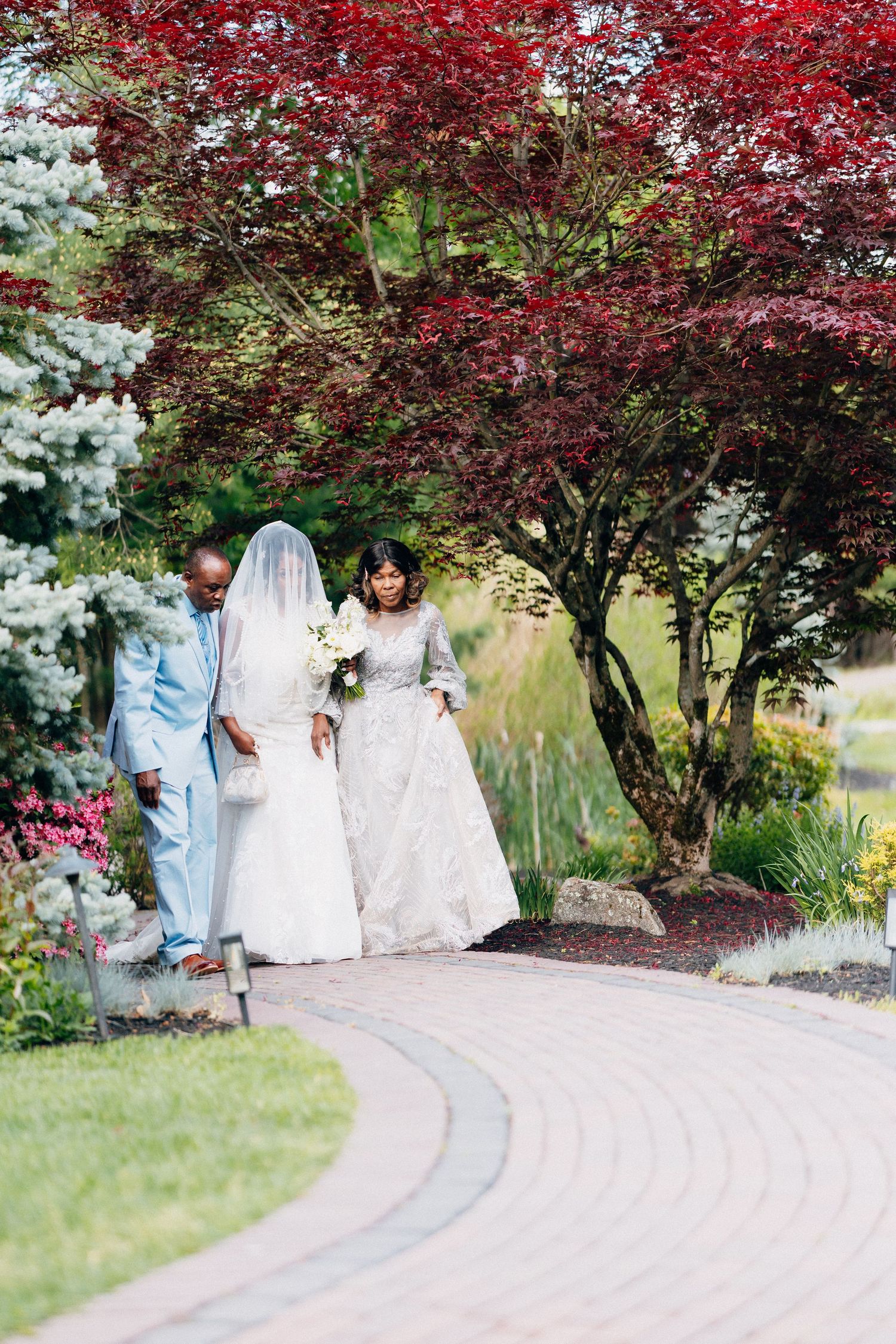 Bride in white gown and veil walks garden path with two escorts under red maple tree.
