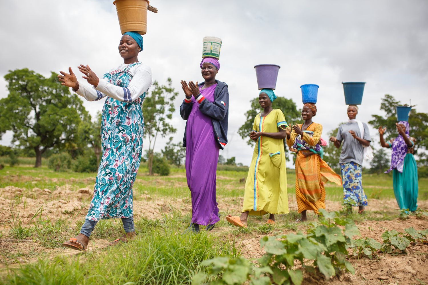 Documentary of shea butter