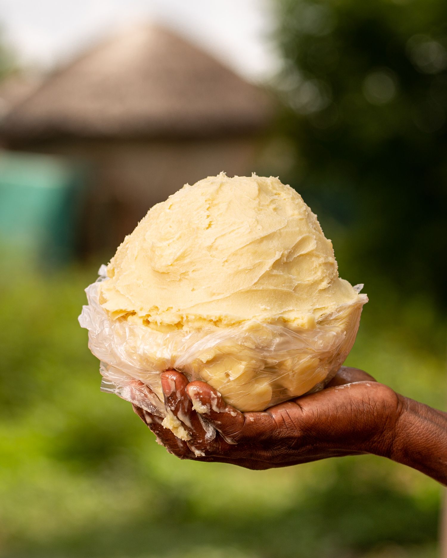 Documentary of shea butter
