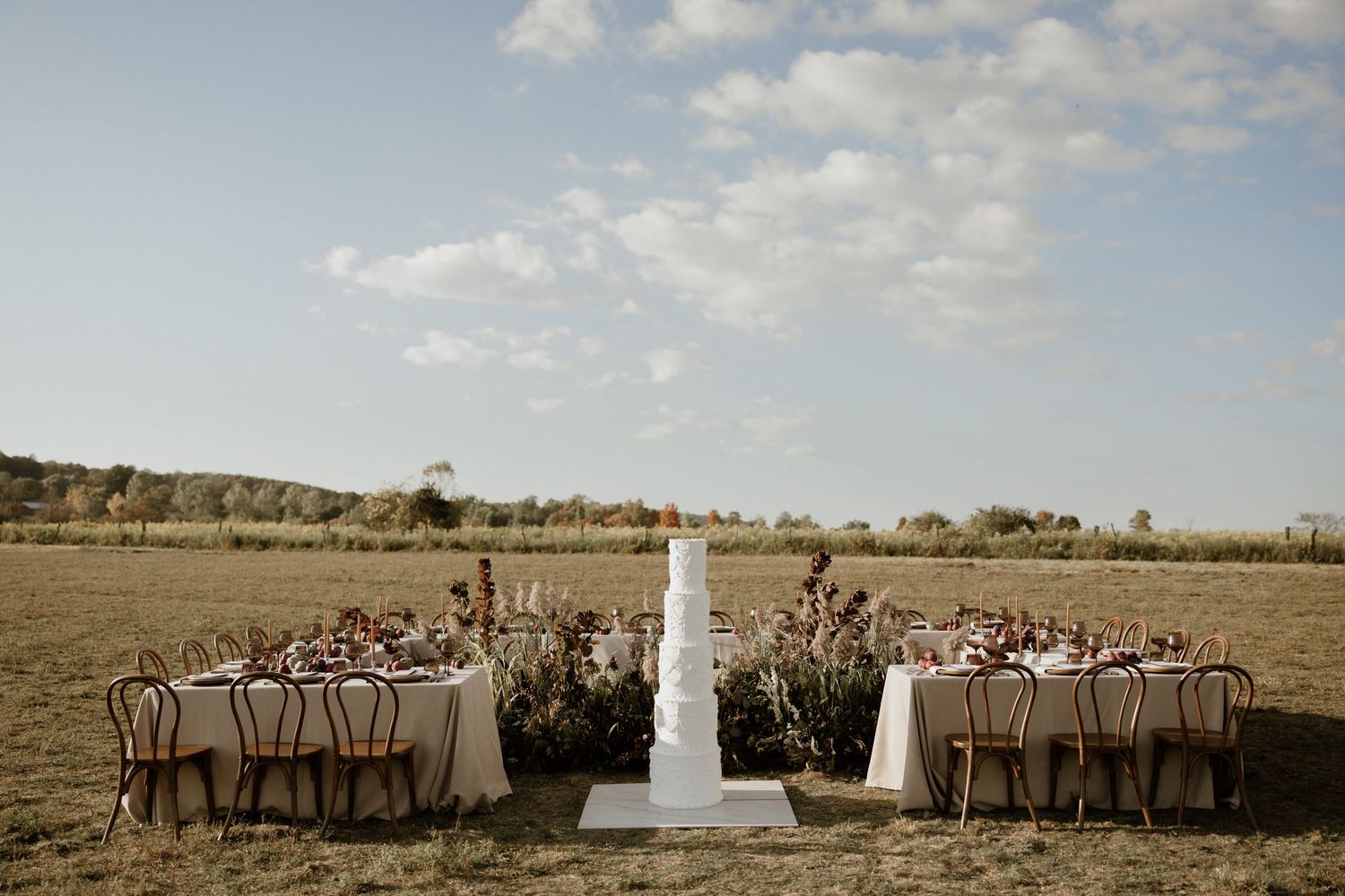 Wedding party stands in a line across a scenic field under blue skies with scattered clouds.