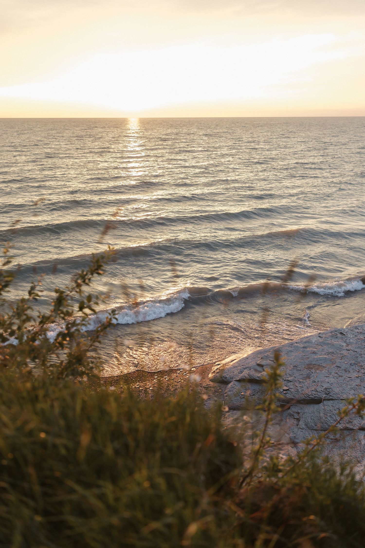 Golden sunset over calm ocean waves gently washing onto a rocky shore, framed by coastal grasses in warm evening light.