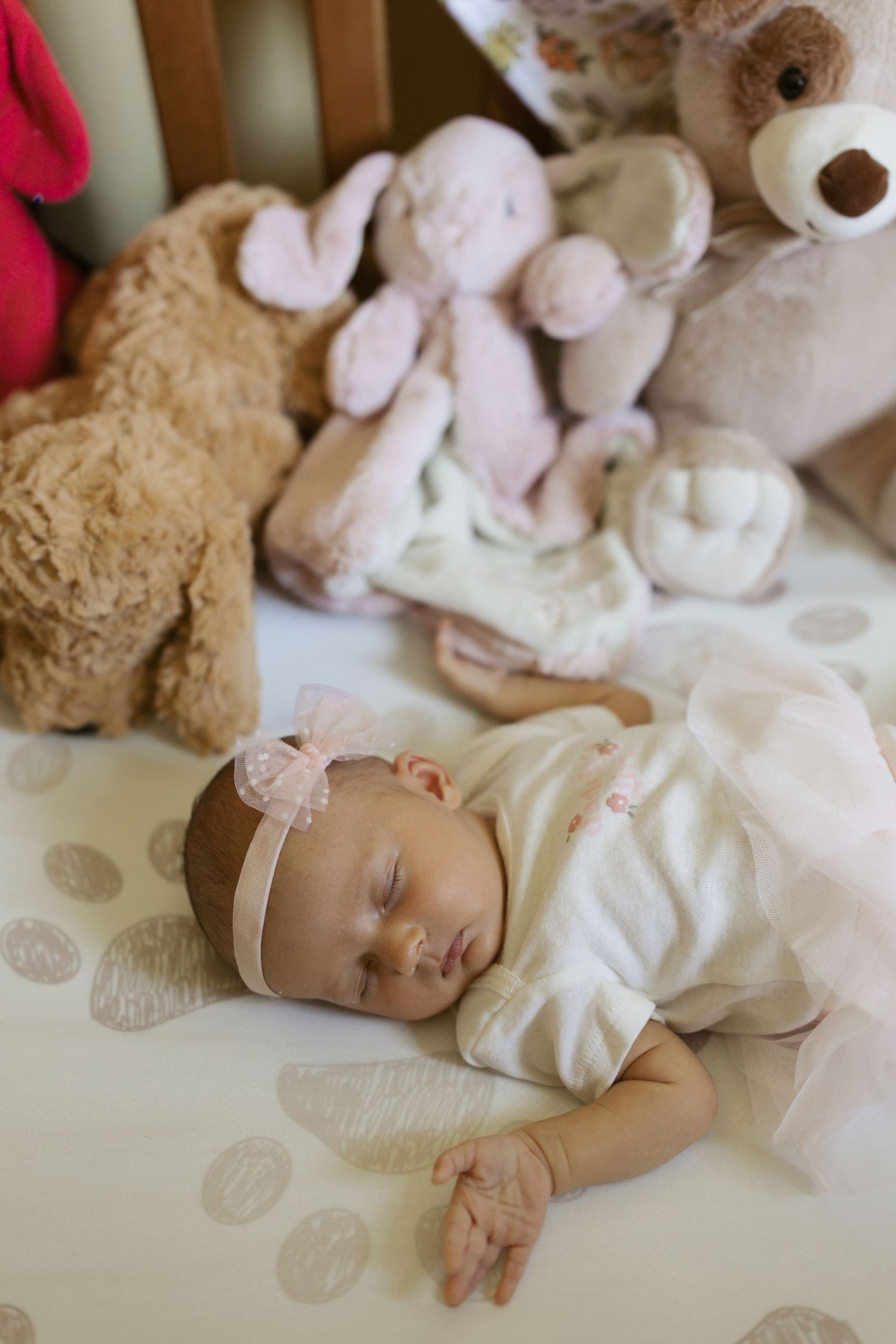 Newborn baby girl sleeping peacefully in crib wearing white outfit and pink bow headband surrounded by soft stuffed animals.