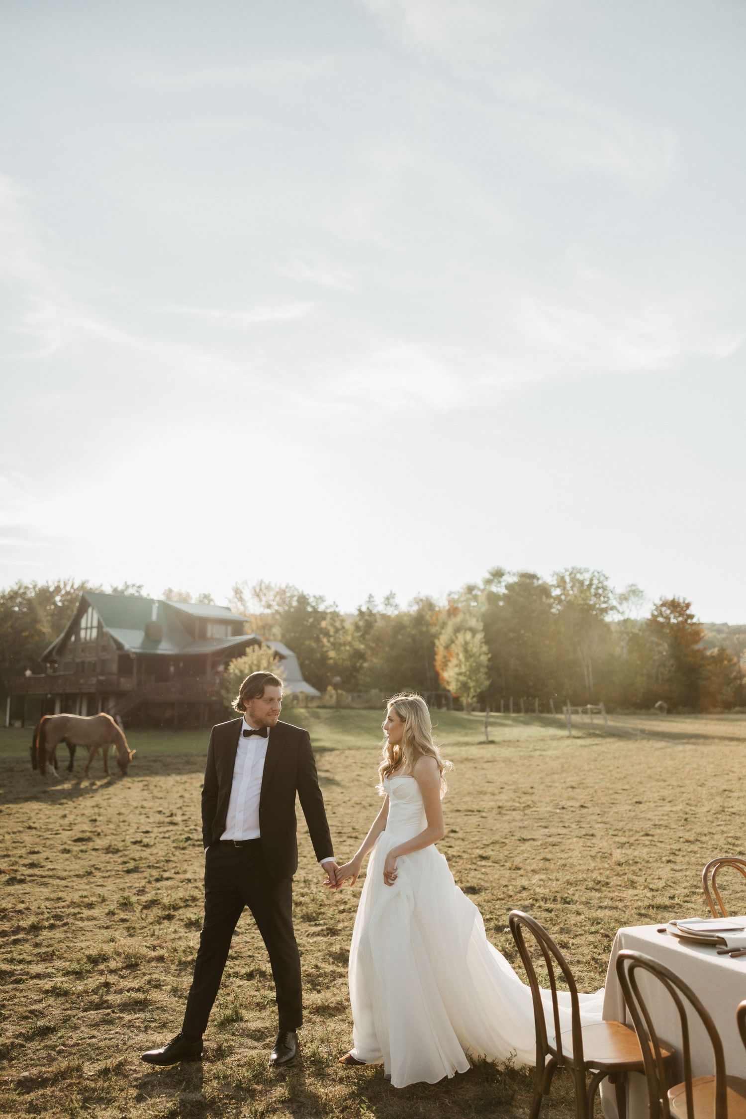 A couple in wedding attire holds hands in a sunlit field with horses and a barn in the background at sunset.