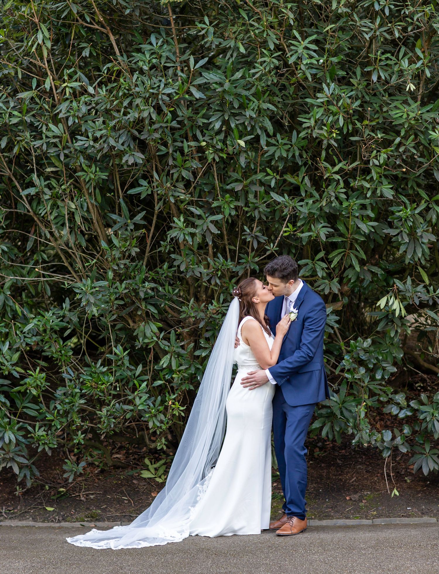 An elegant wedding portrait against a backdrop of lush green rhododendron bushes.