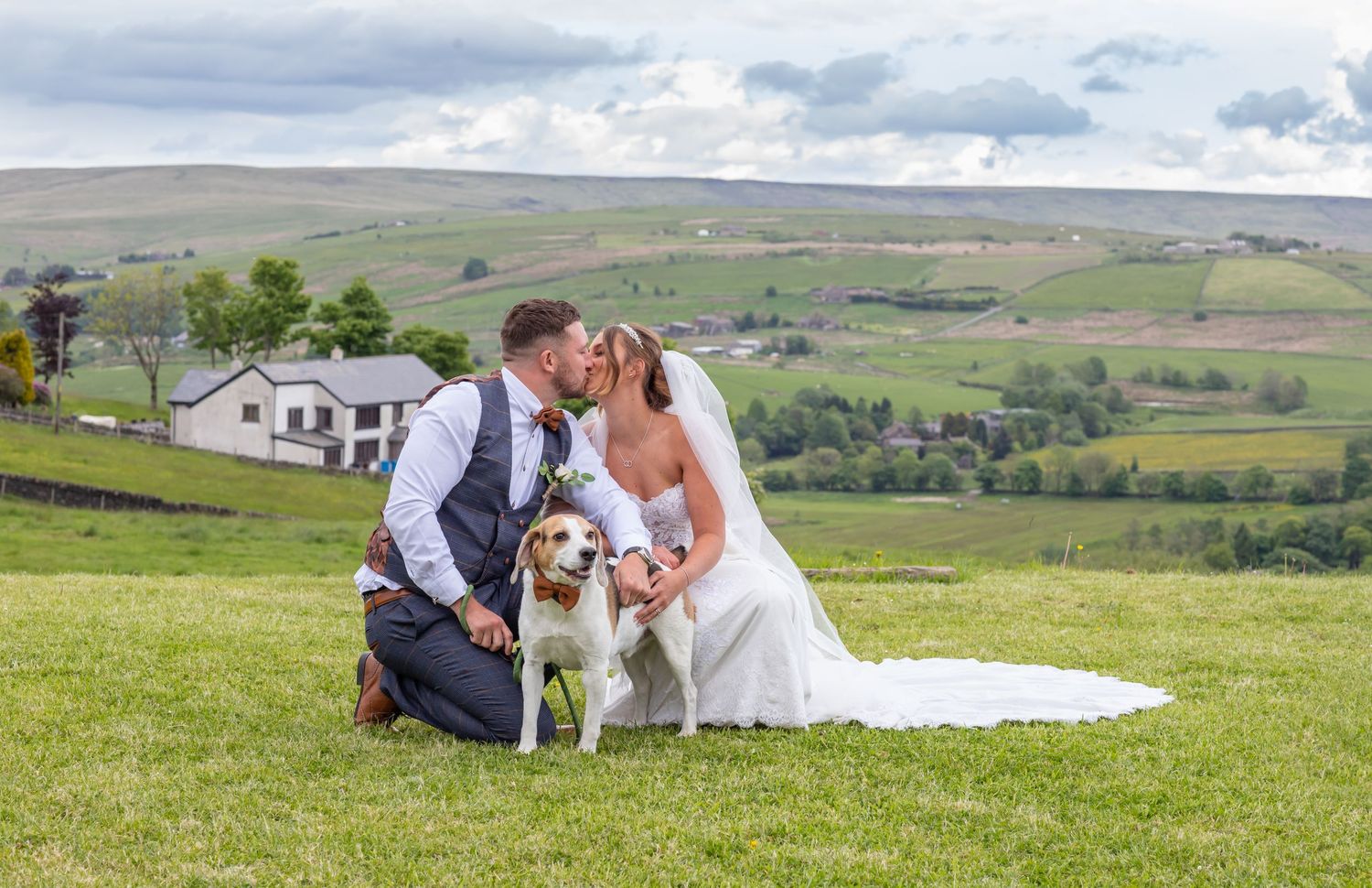Panoramic sequence of newlyweds and their dog posing in rolling green hills on their wedding day.