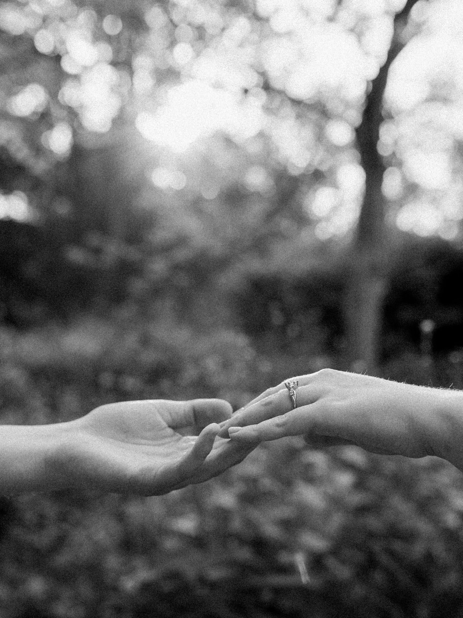 Black and white close-up of two hands touching in a gentle moment against a blurred forest background.