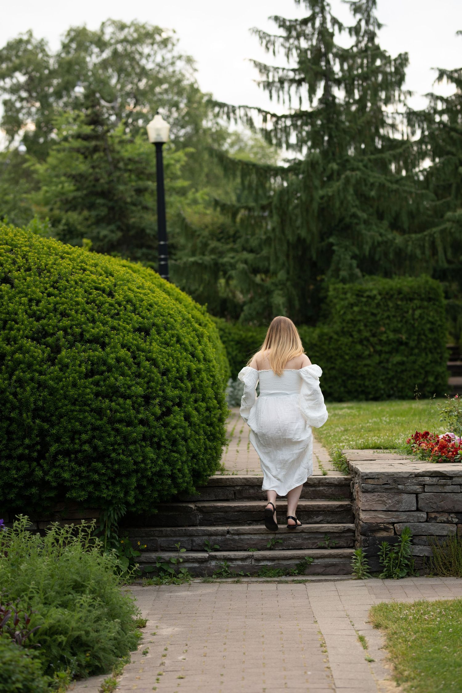 Stone pathway through a landscaped garden with evergreen trees and manicured shrubs.