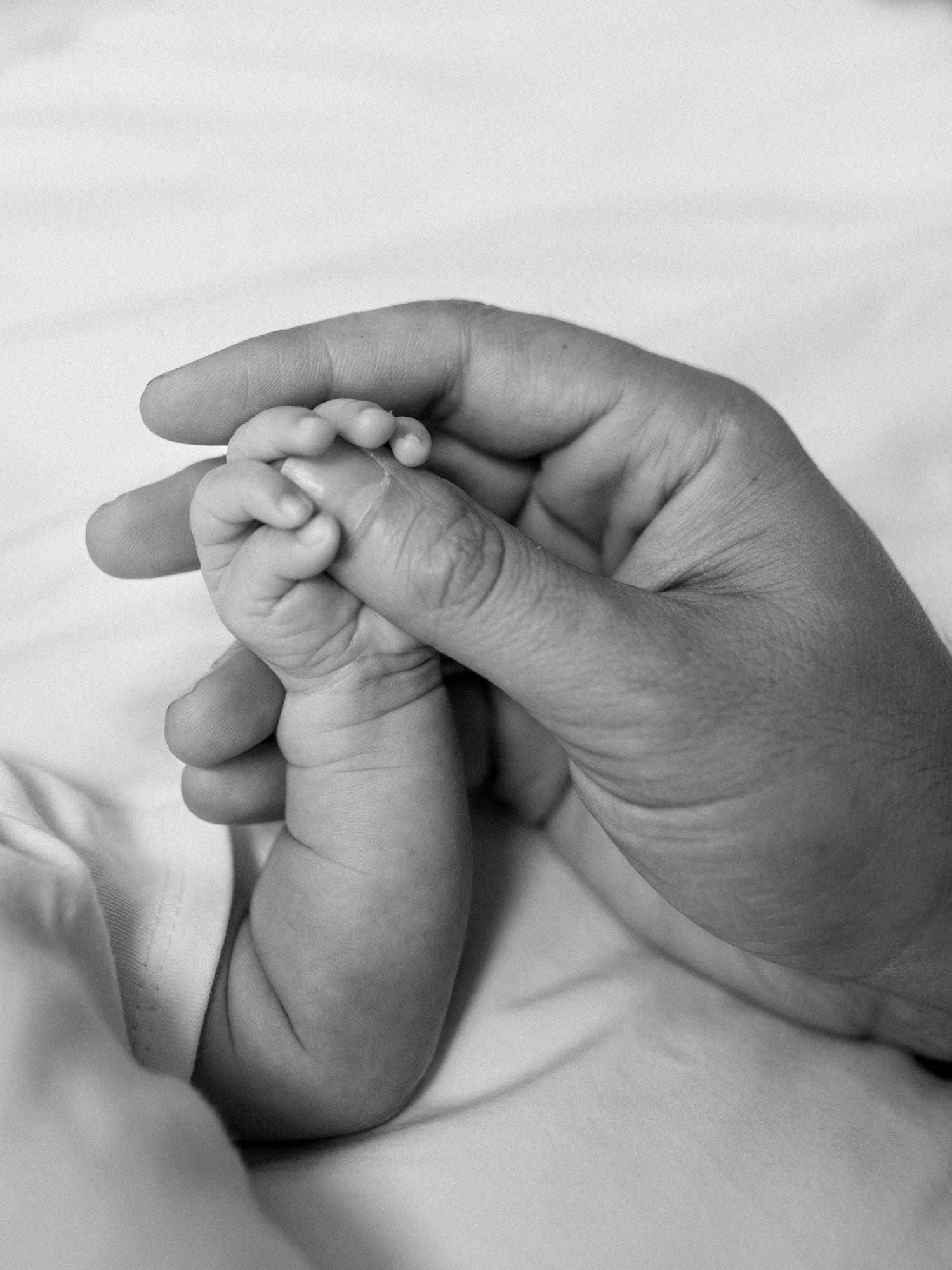 A close photo of a newborn holding onto the the much larger thumb of their parent. Moment captured by Katie Crane Photog