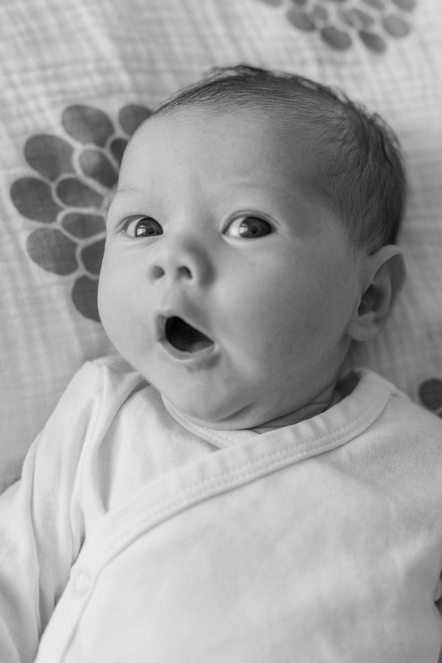 A newborn lying down looks shock, mouth wide open looking at the camera. Photo by Katie Crane Photography.