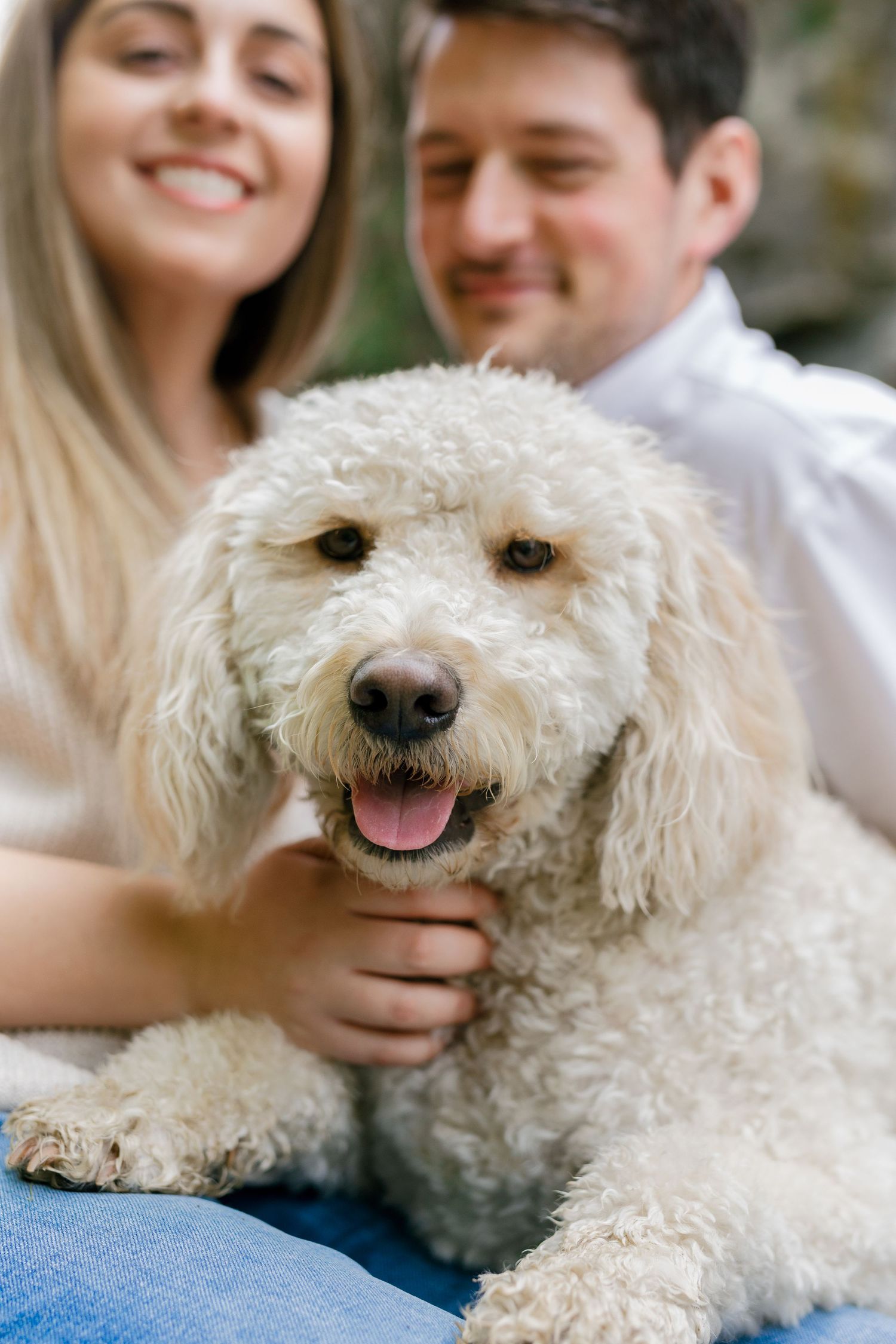 A happy couple poses with their fluffy white dog during an engagement photoshoot.