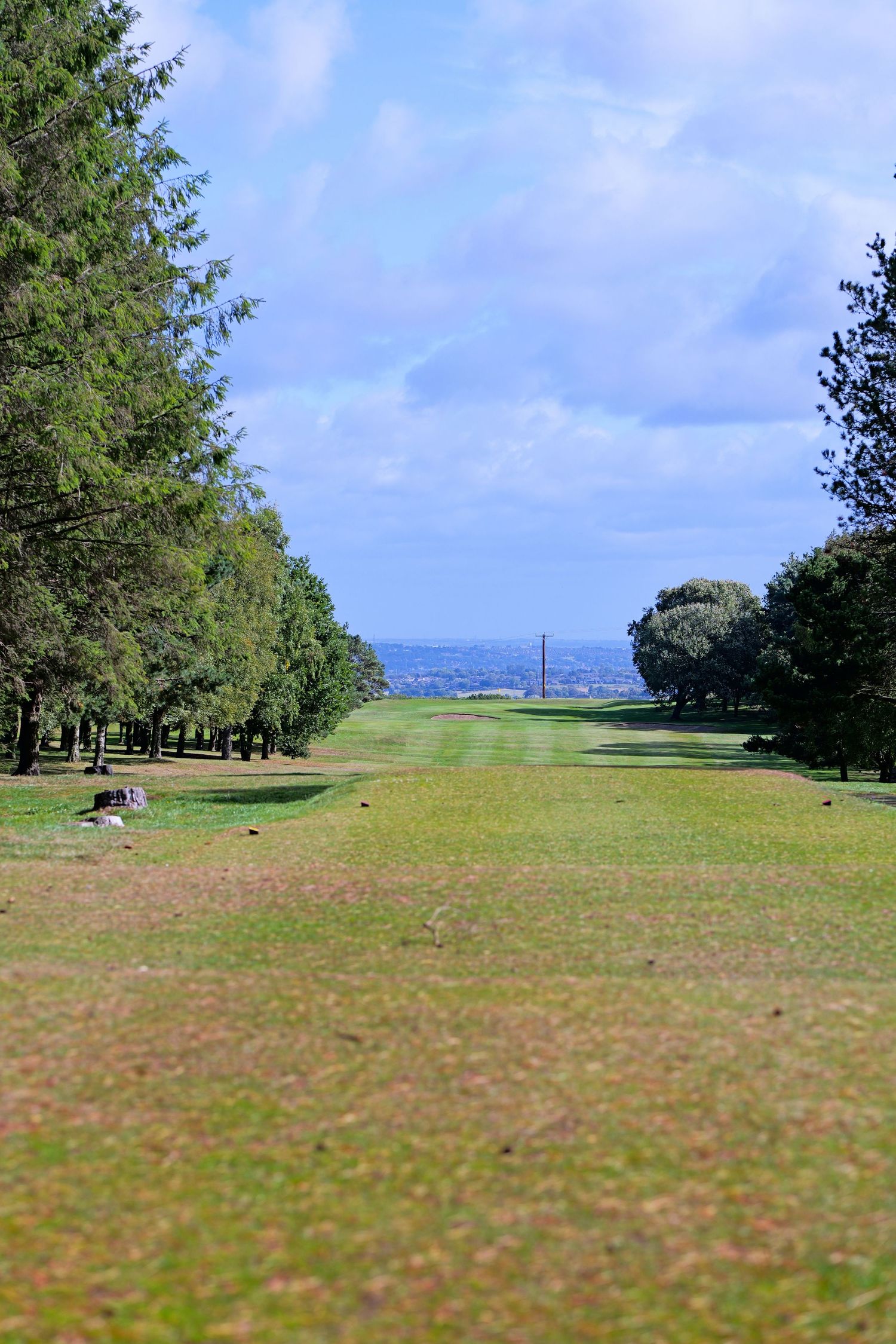 Long golf fairway lined with tall trees leading to a distant flag under blue sky.