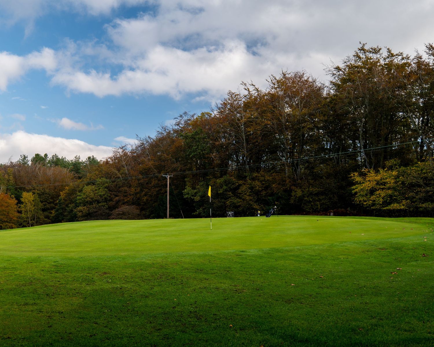 Golf course putting green with a yellow flag on the pin, surrounded by autumn trees under a blue sky with scattered clouds.