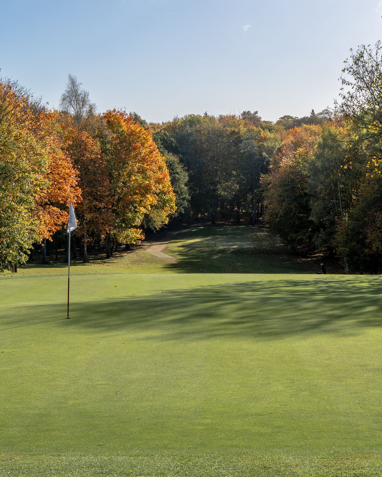 Golf course green with a flagstick in the foreground, framed by colorful autumn trees and a sunlit fairway under a clear blue sky.