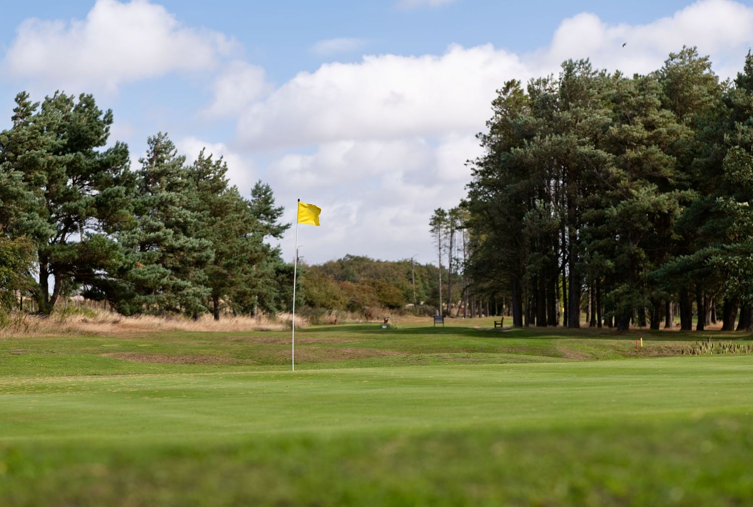 Yellow flag on a lush golf course green surrounded by tall pine trees under a partly cloudy sky.