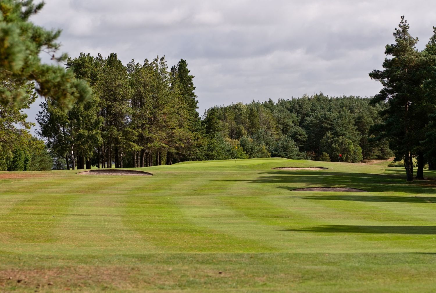 Scenic golf course fairway lined with tall pine trees under a cloudy sky.