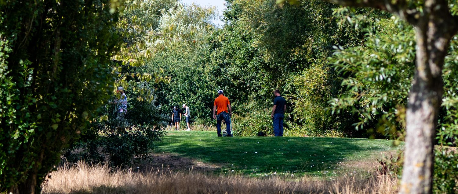 People walking along a scenic green tree-lined path in a park on a sunny day.