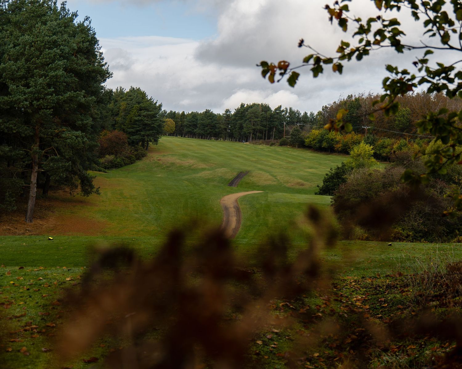 A winding dirt path crosses a green grassy hillside surrounded by autumn trees under a cloudy sky, with blurred foliage in the foreground.