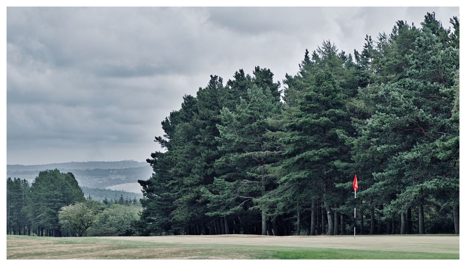 A golf course green with a red flag, bordered by tall pine trees under a cloudy sky.