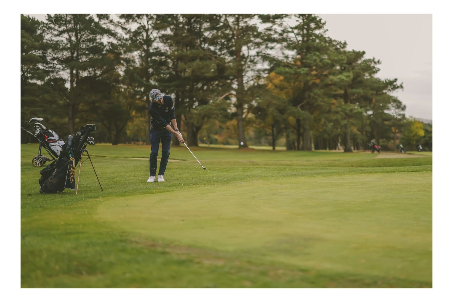 Golfer putting on a well-maintained green at a scenic tree-lined golf course.