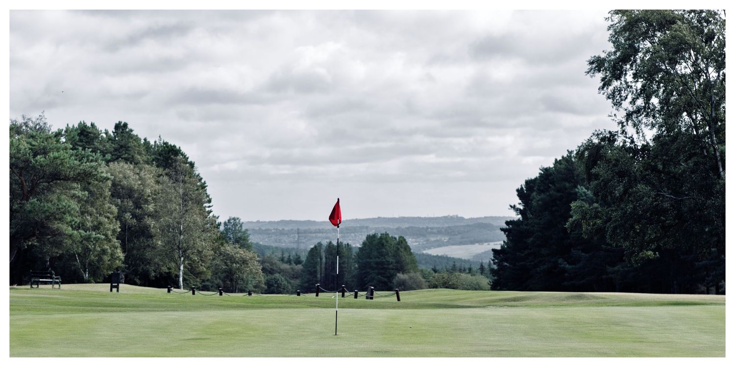 A scenic golf course green with a red flag, surrounded by lush trees under an overcast sky.
