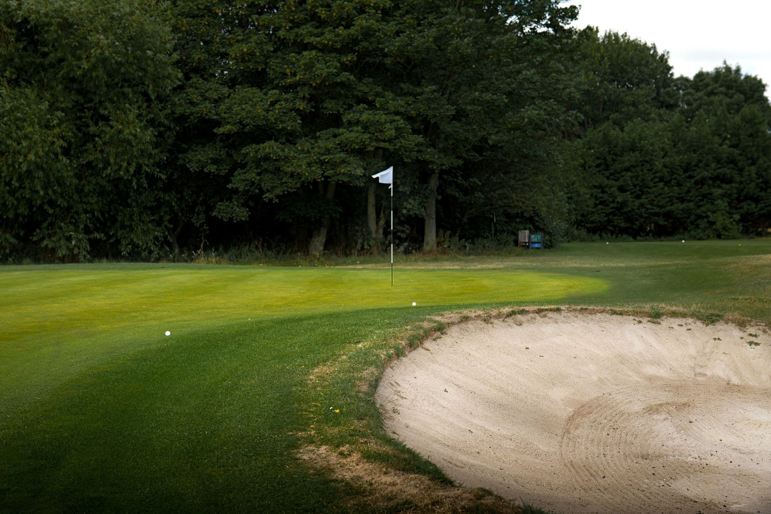 Golf course green with sand bunker, flag pin, and lush tree-lined fairway on an overcast day.
