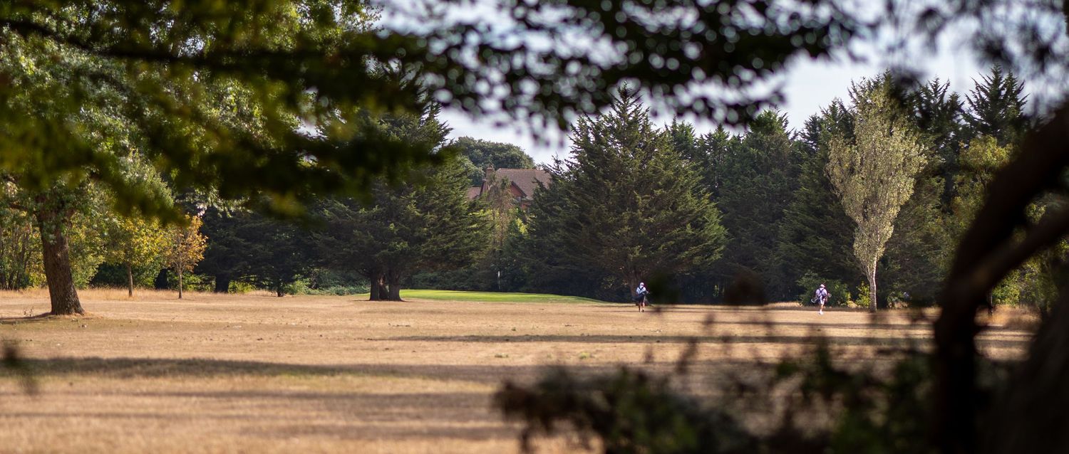 Golfers walking across a dry grass fairway surrounded by lush green trees on a sunny day.
