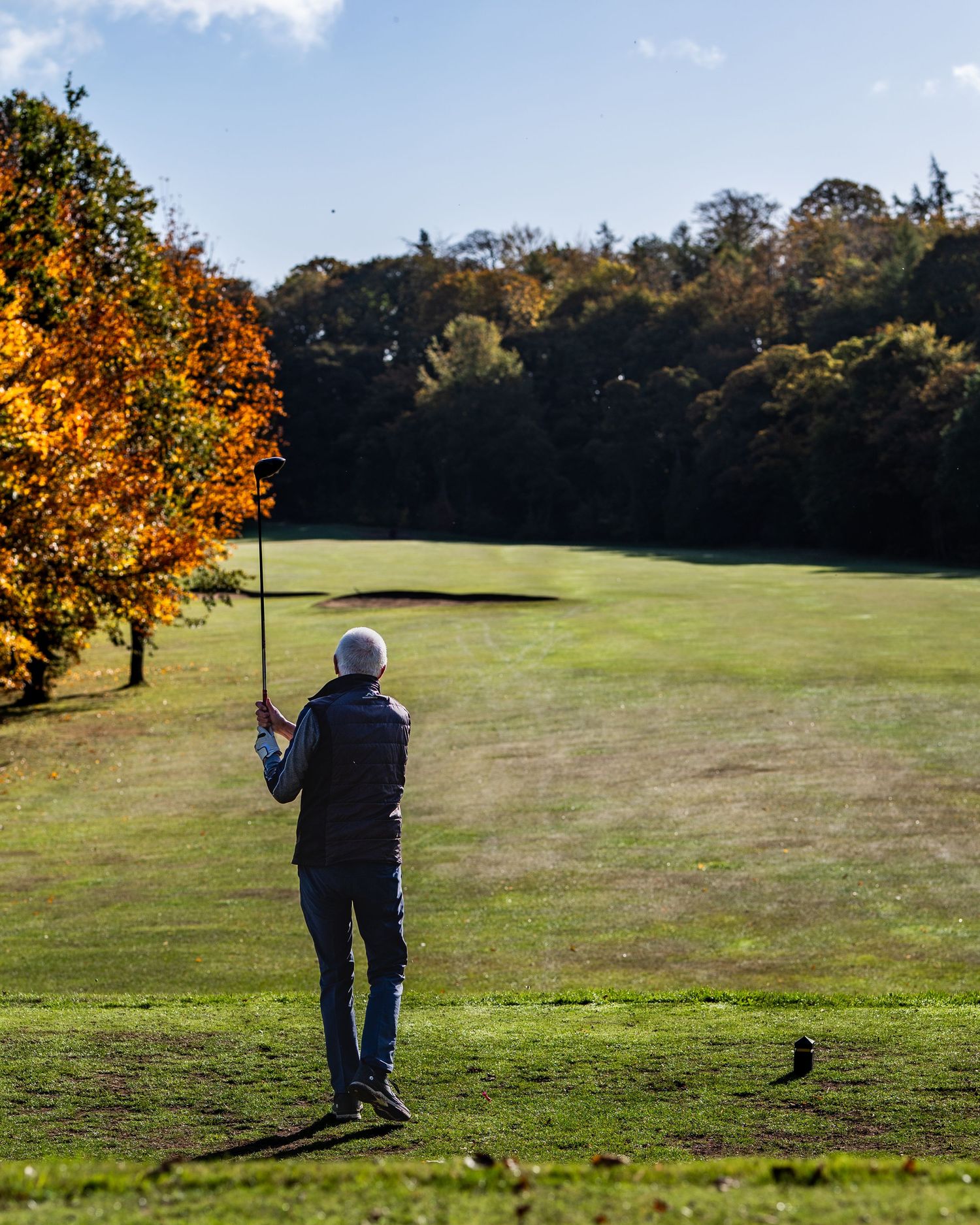 Golfer in a dark vest and jeans watches his shot on a sunny fairway beside colorful autumn trees and dense woodland.