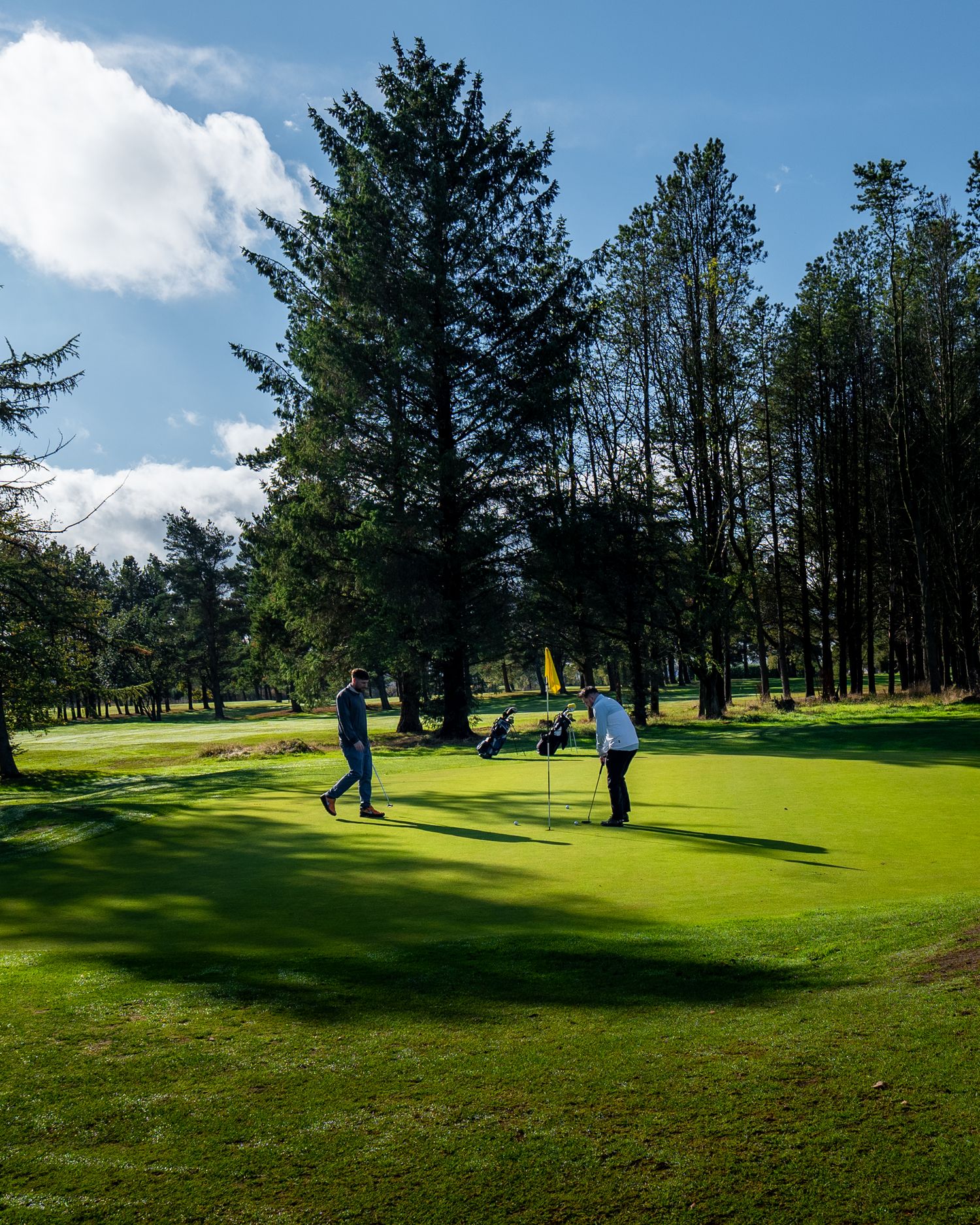 Two golfers stand on a sunlit putting green near a yellow flag, surrounded by tall evergreen trees under a bright blue sky.