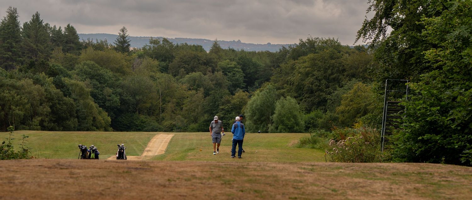 Three golfers walk along a tree-lined fairway on an overcast day at a lush golf course.