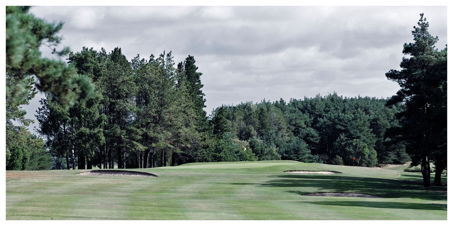 Tree-lined golf course fairway with manicured green grass, sand bunkers, and dense pine forest under a partly cloudy sky.