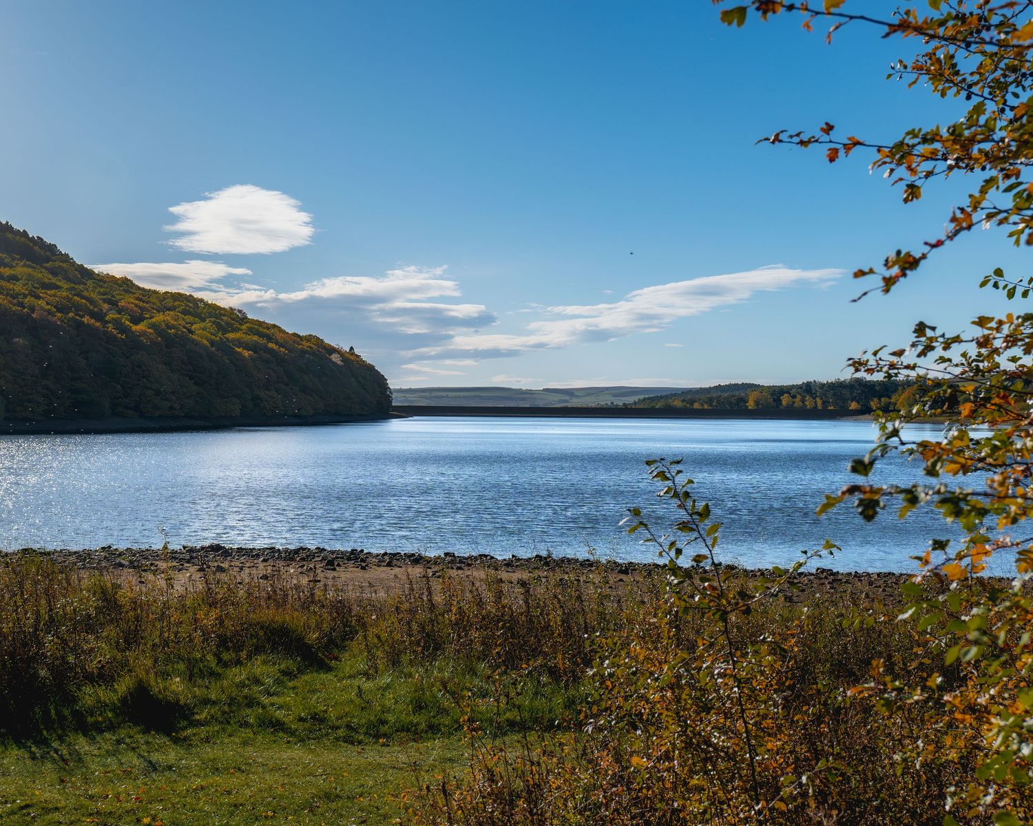 Calm blue lake reflecting a clear sky, with forested hills in autumn color and grassy shoreline framed by golden leaves.