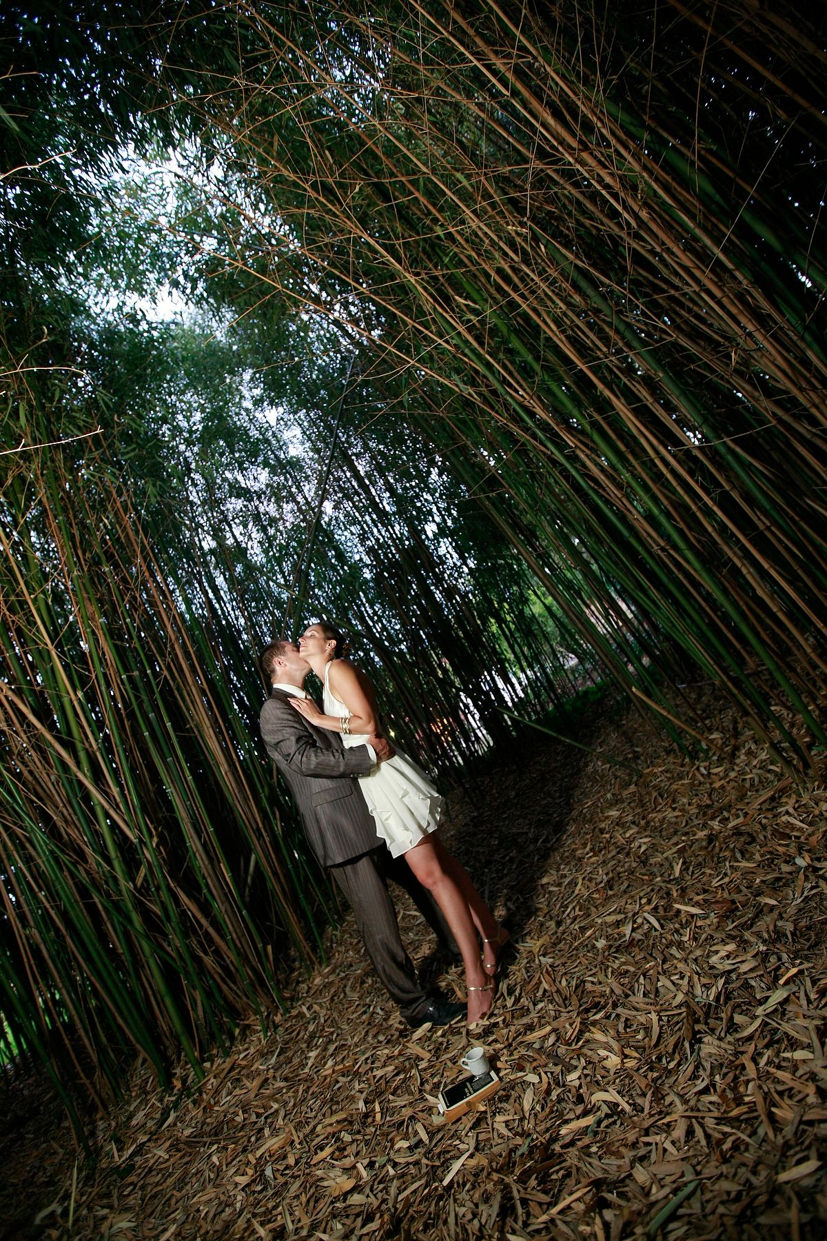 Couple embracing under a majestic canopy of trees for a unique forest wedding portrait