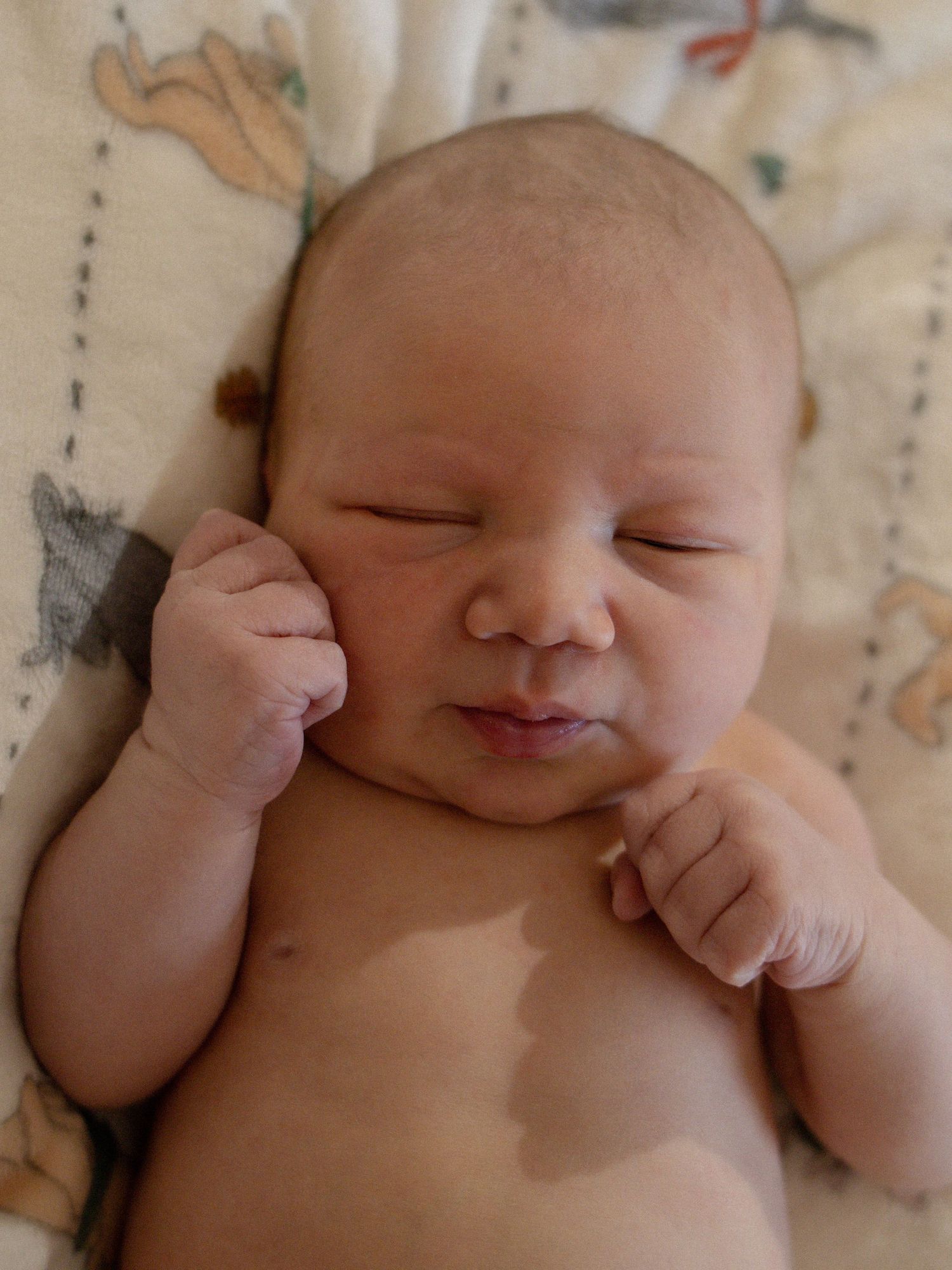 Close-up of a peaceful sleeping newborn baby with tiny fists raised to cheeks.