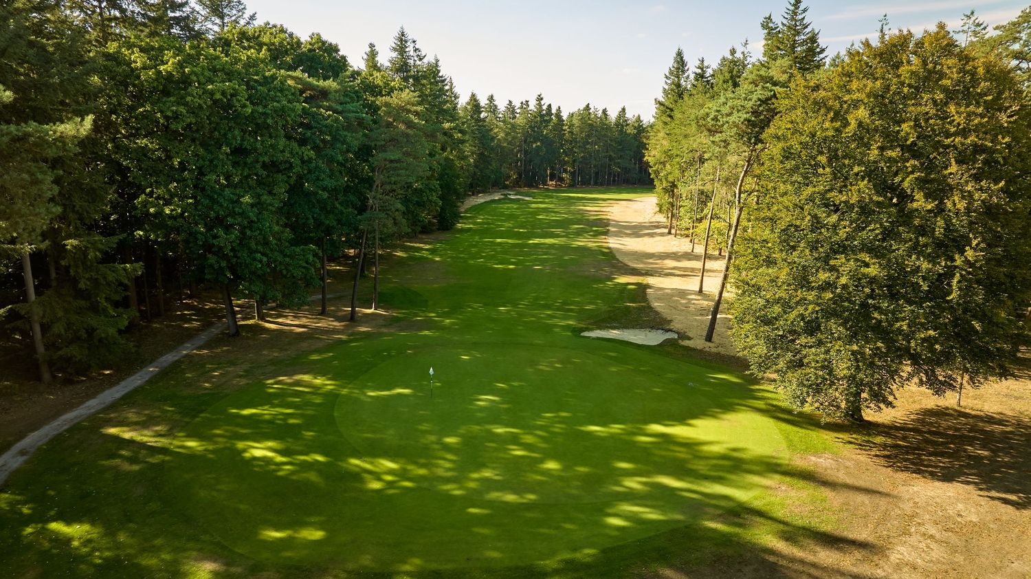Aerial view of a lush green golf course fairway lined with tall trees on a sunny day.