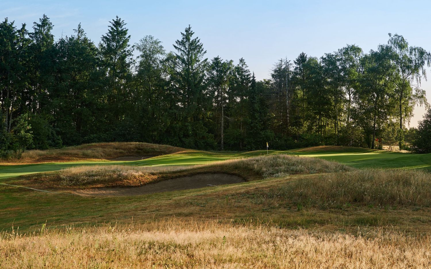 A scenic golf hole with sand bunkers and tall trees under a clear blue sky at golden hour.