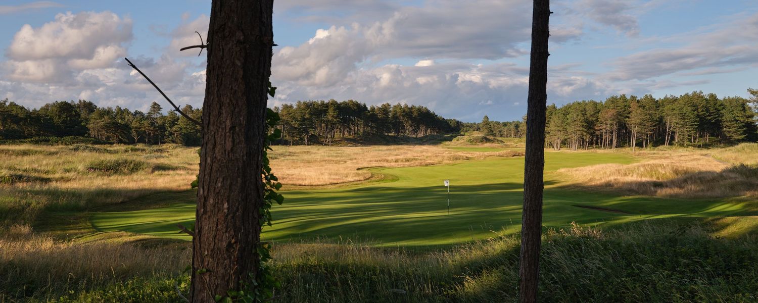 Golf fairway viewed through pine trees with sandy rough and lush green grass in bright daylight.