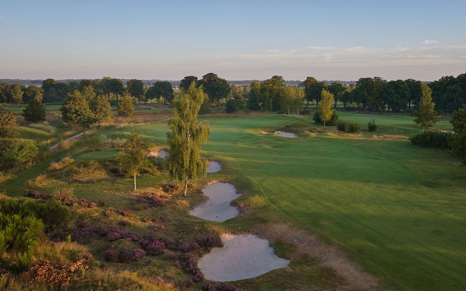 Golden hour aerial view of a golf course fairway with sand bunkers, heather, and tall trees under a clear sky.