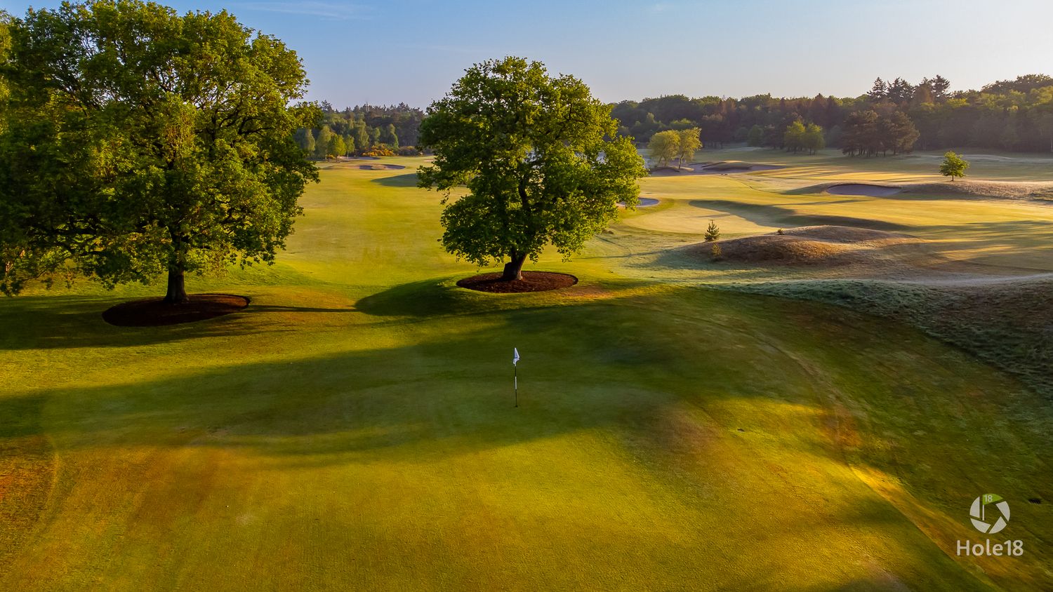 Golden hour view of a golf hole with a flag, framed by two large oak trees on a sunny day.