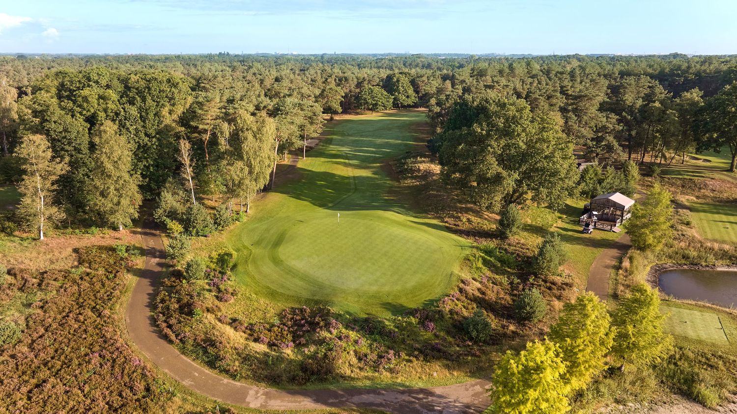 Aerial view of a golf course fairway with a green, surrounded by pine trees and a small building.