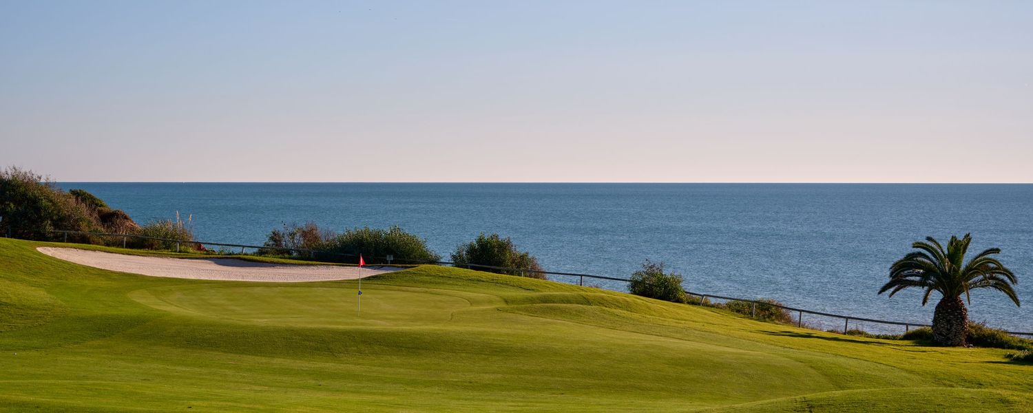 Pristine golf course fairway with a sand bunker and palm tree overlooking a calm blue ocean horizon.