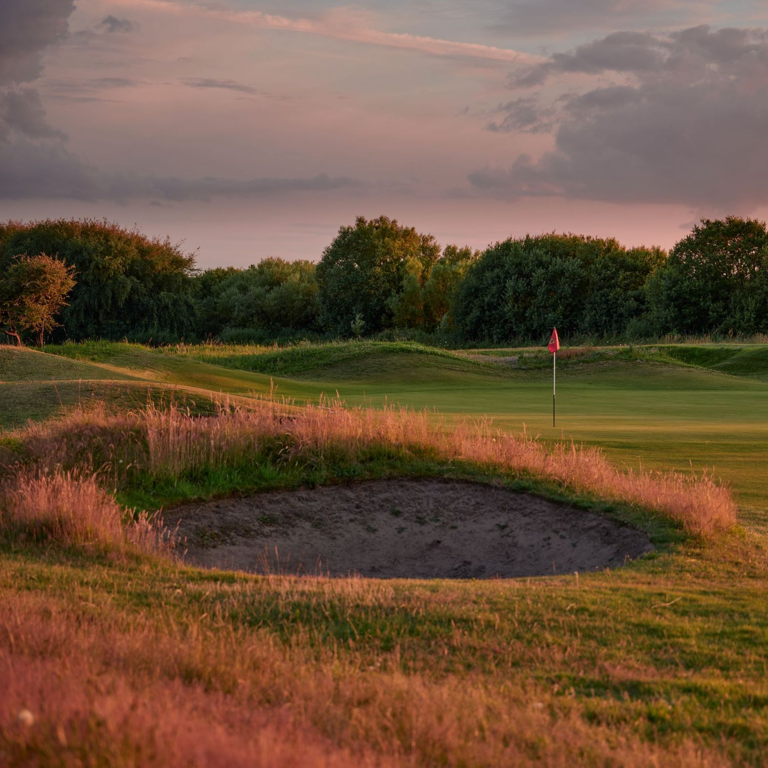 A sand bunker and red flag on a golf course green bathed in warm pink sunset light.