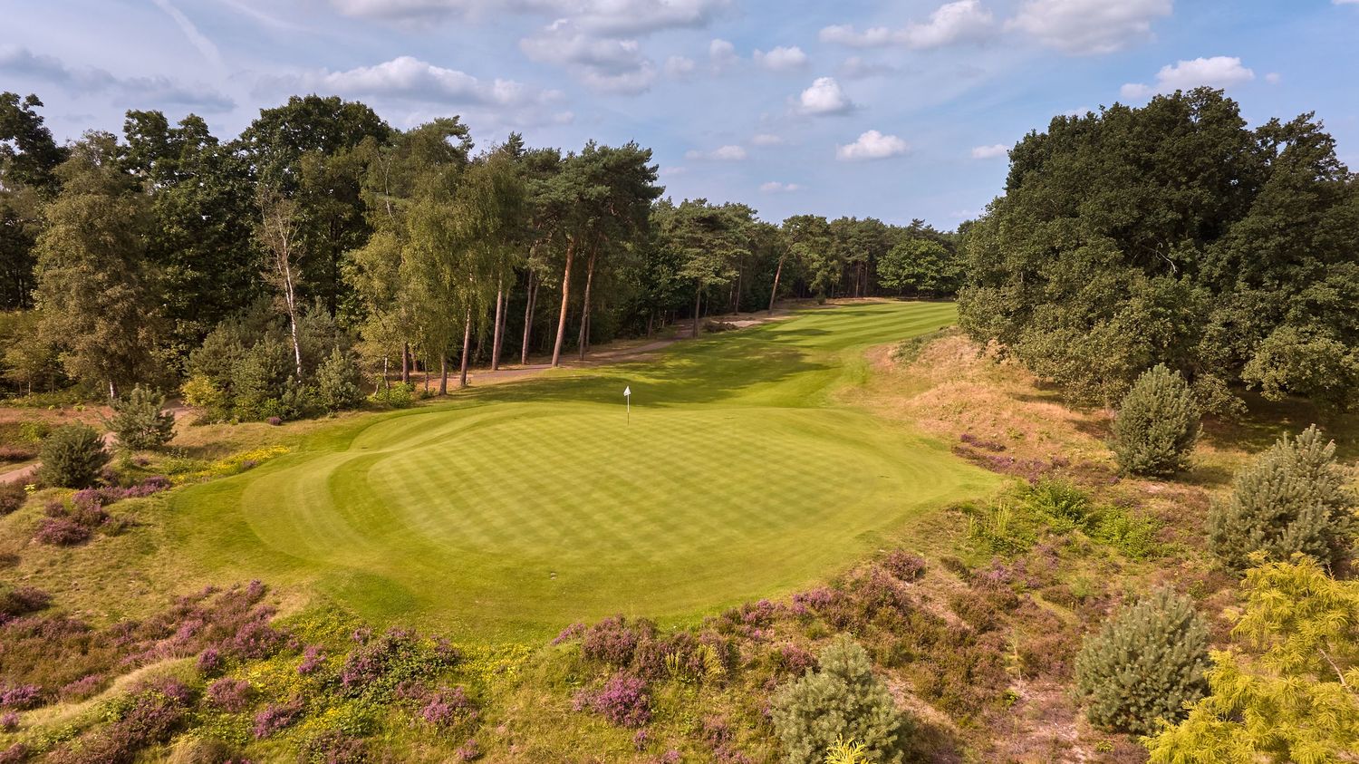 Scenic golf course green surrounded by heather, pine trees, and manicured fairways on a clear day.