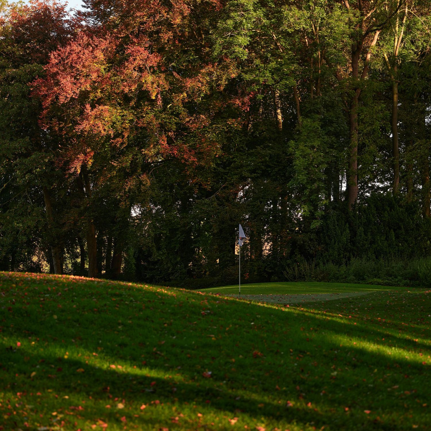 Autumn golf course green with flag pin surrounded by colorful fall foliage trees in warm evening light.