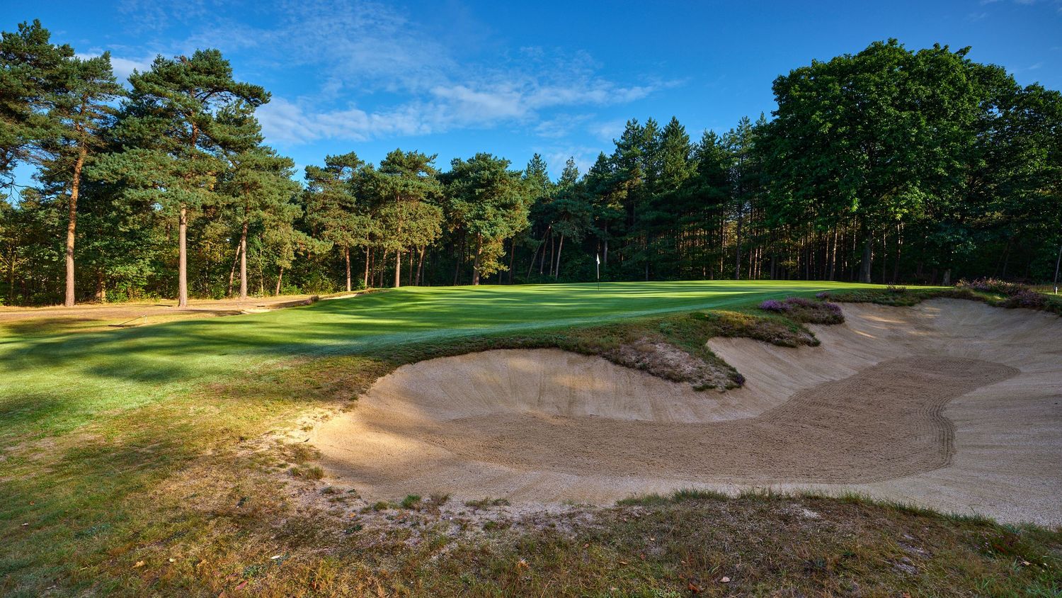 A scenic golf course bunker surrounded by lush pine trees under a clear blue sky on a sunny day.