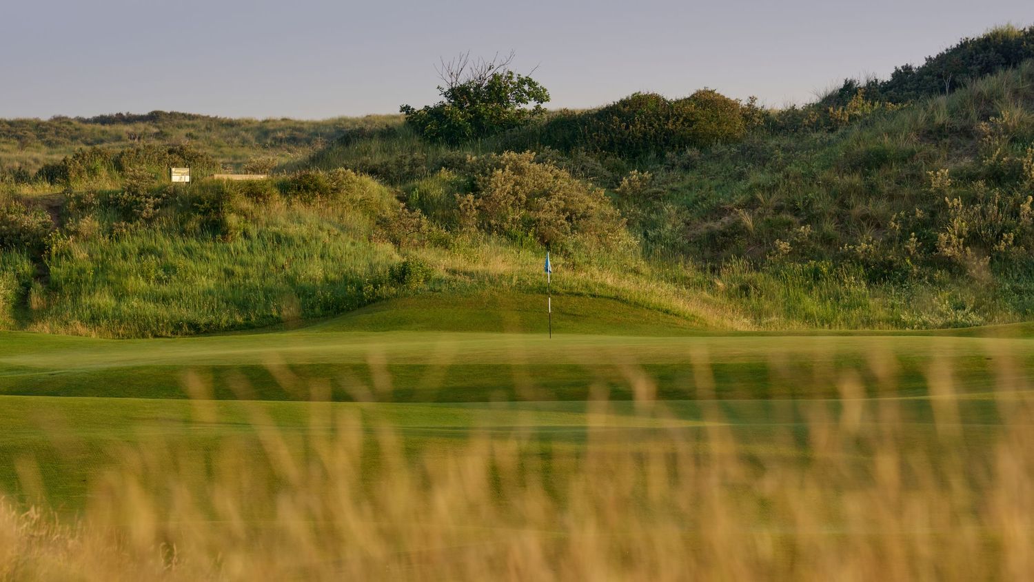 Links golf hole with a tucked green nestled among wild dunes and tall rough grass at dusk.