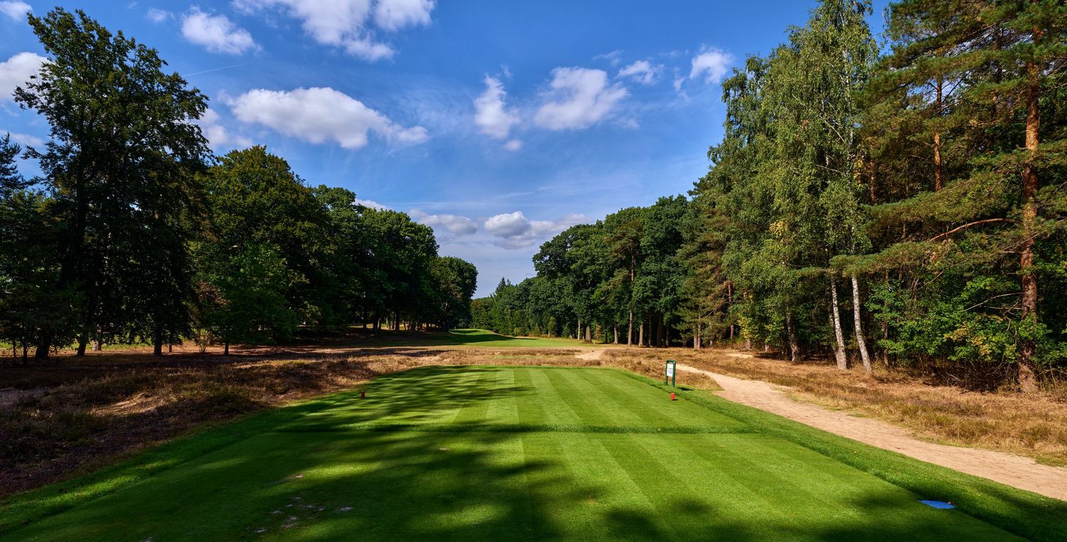 Sunlit golf fairway lined with tall pine and oak trees on a bright summer day.