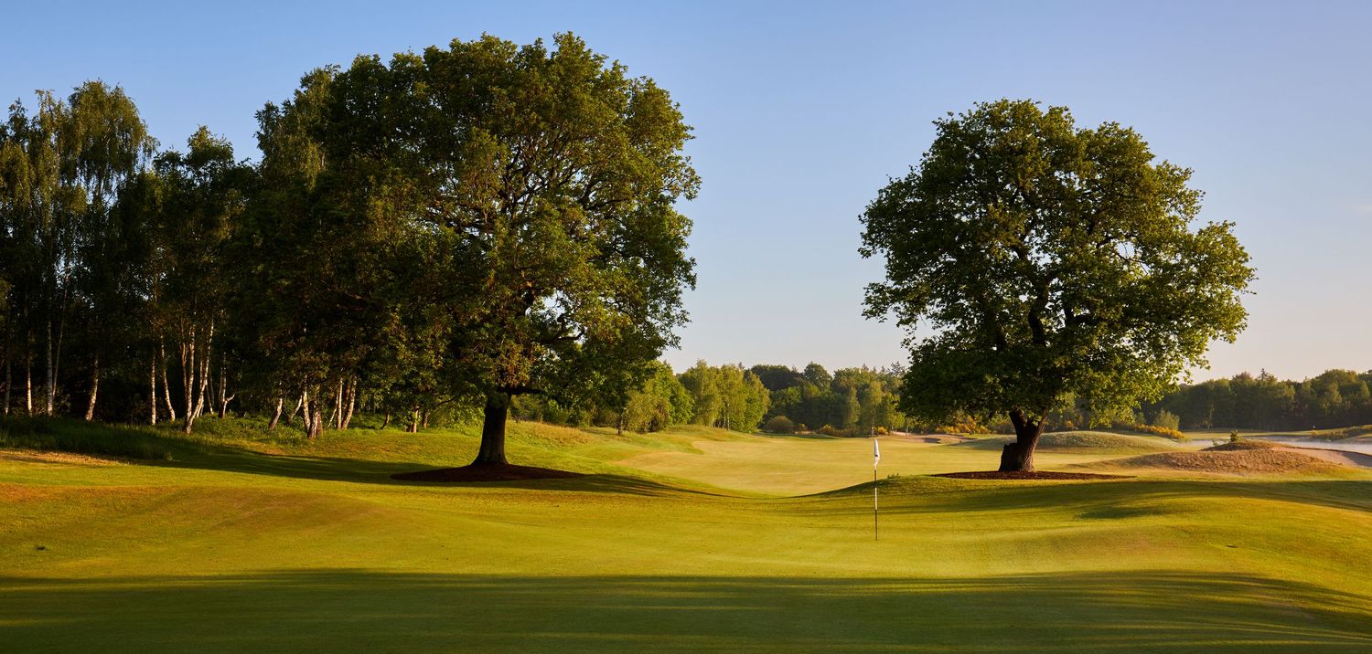 Two large mature oak trees framing a sunlit golf fairway with a flag pin visible in the background.