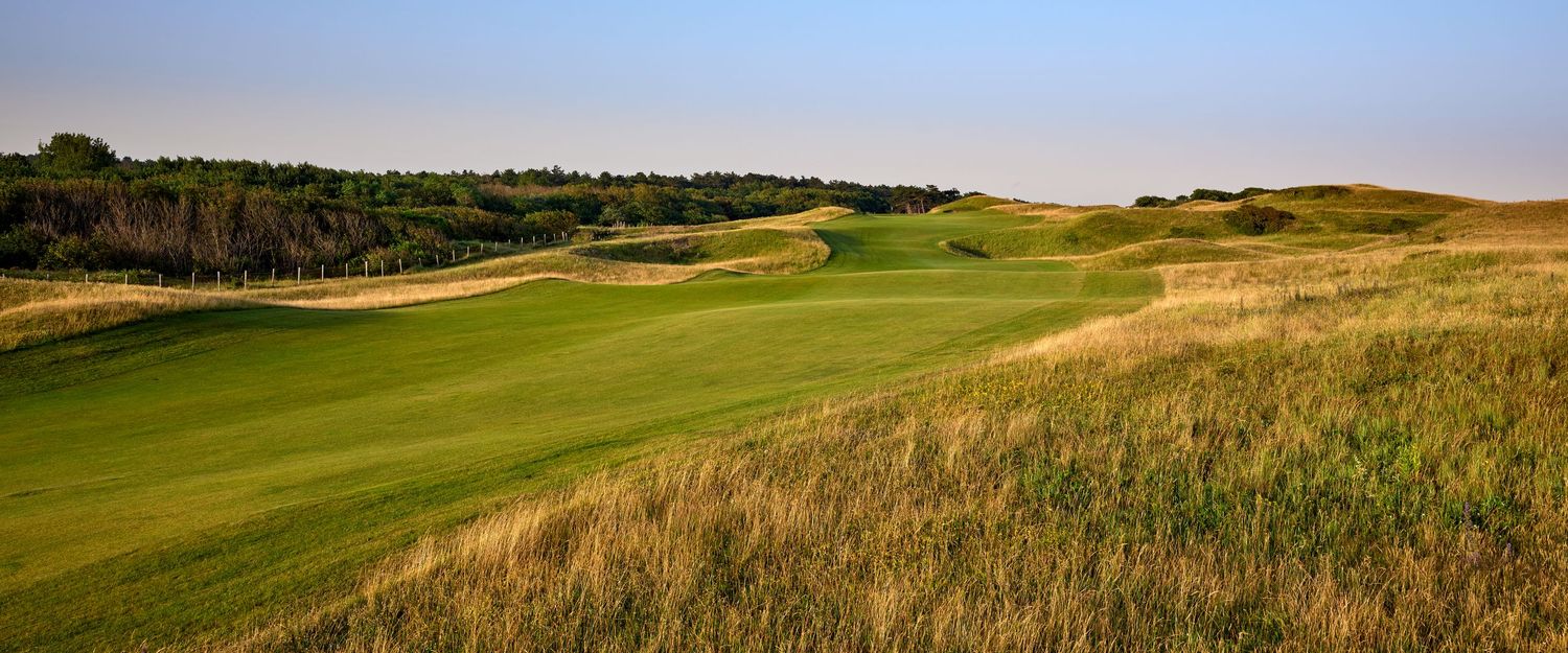 A sweeping links golf fairway with undulating terrain, tall rough grass, and a tree line in the distance.