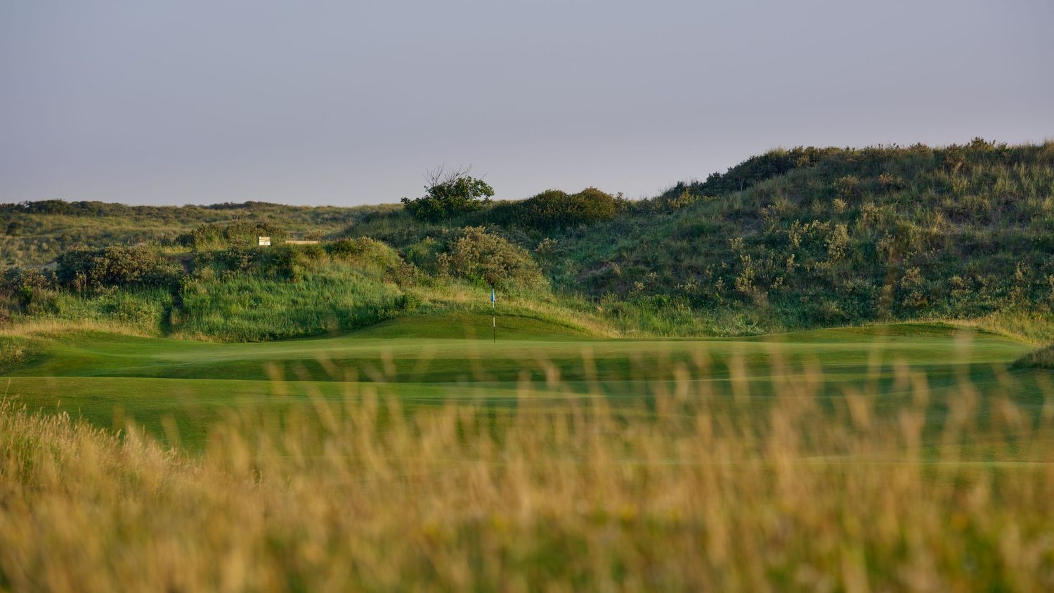 A scenic links golf hole with a green nestled among tall grass dunes beside a tranquil water hazard.